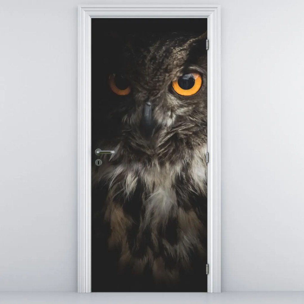 Fototapeta na drzwi - Sowa (95x205cm)