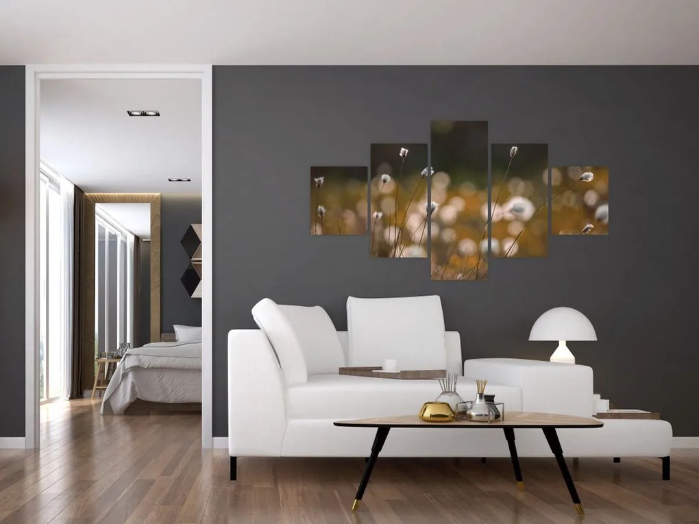 Obraz - Łąka z trawą bawełnianą N⁰2 (125x70 cm)