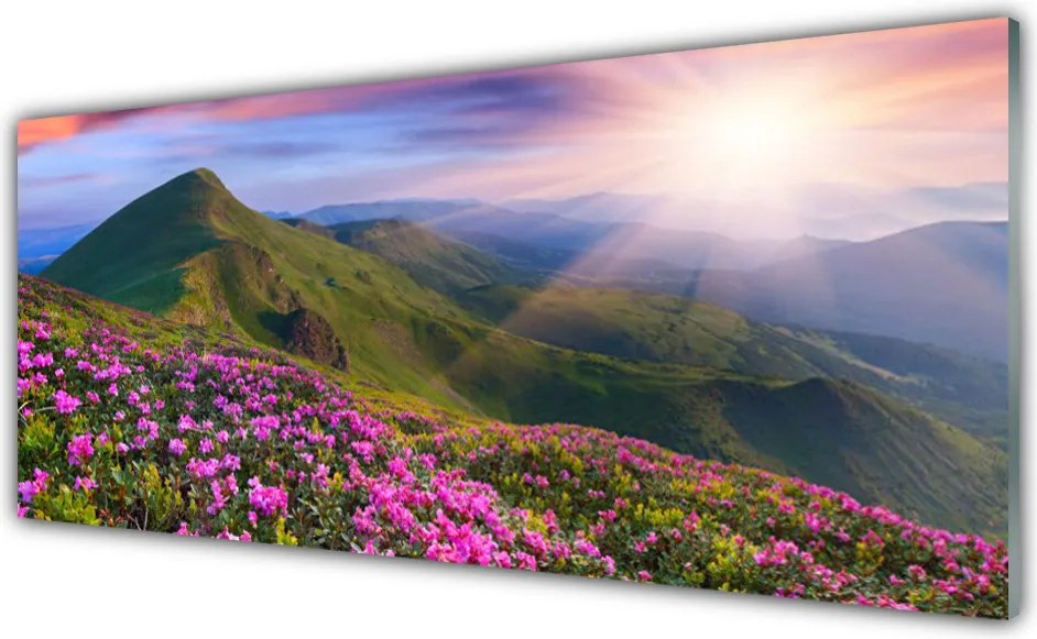 Panel nad blat kuchenny Kwiatowy Dywan U Stóp Gór