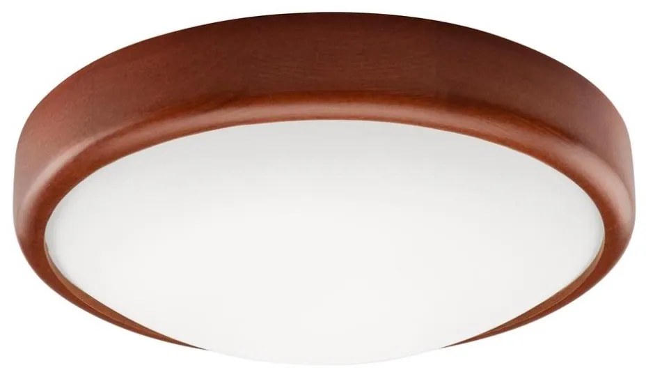 LED Lampa sufitowa 1xLED/12W/230V