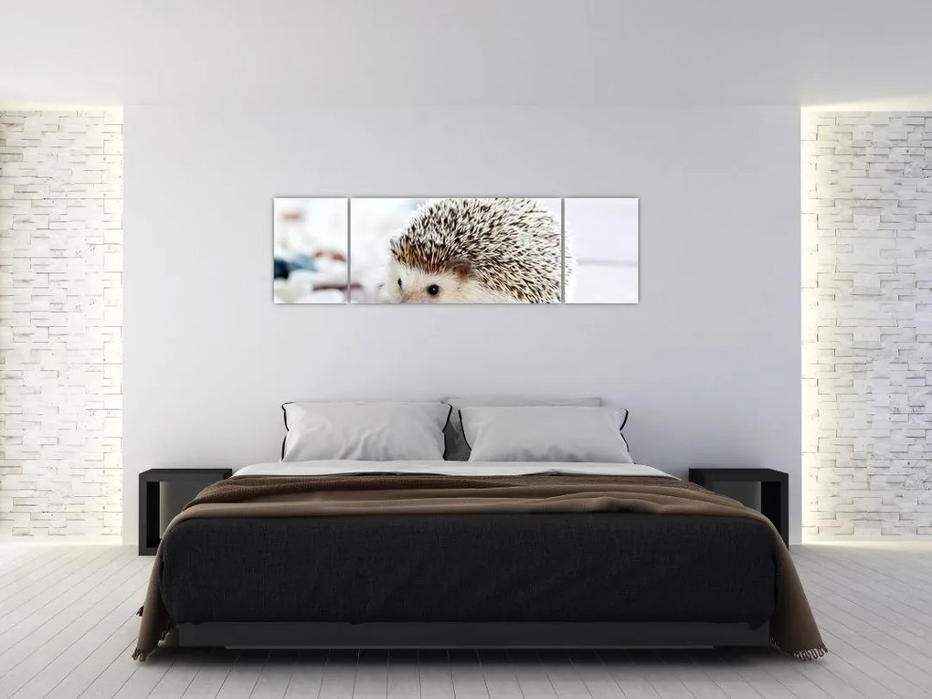 Obraz jeża (170x50 cm)