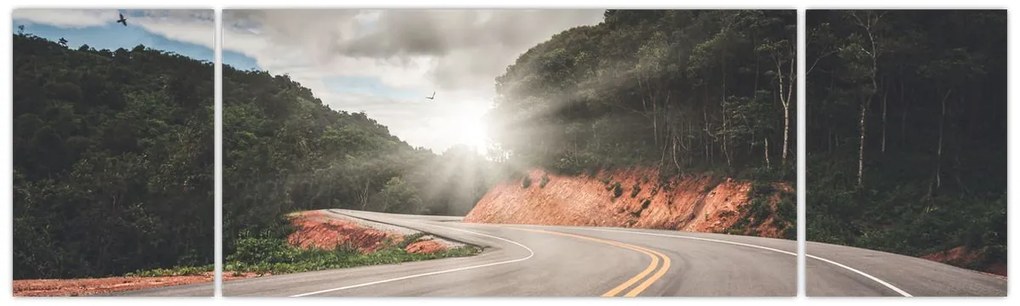 Obraz - Do drogi (170x50 cm)