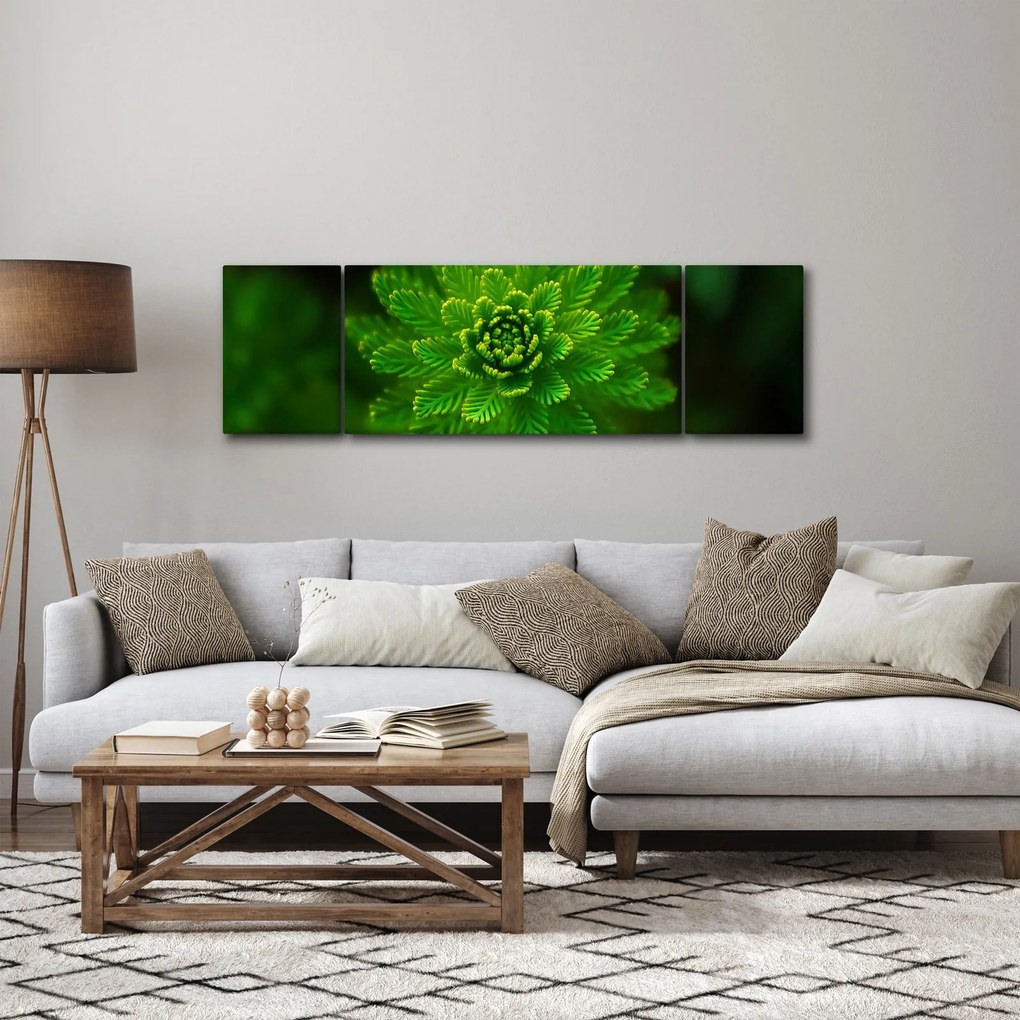 Obraz drzewa iglastego (170x50 cm)