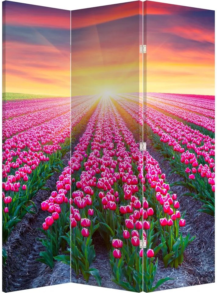 Parawan - Pole tulipanów ze Słońcem (126x170 cm)