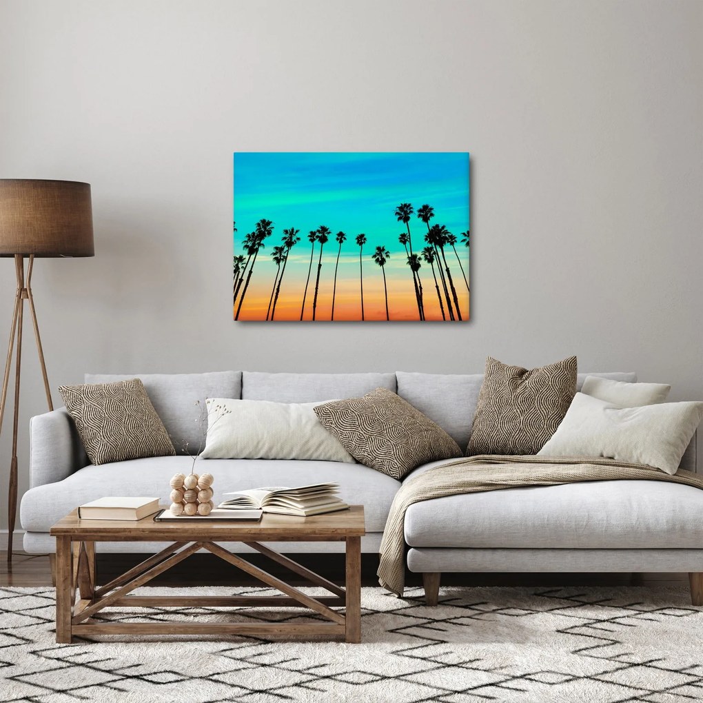 Obraz - Kalifornia (70x50 cm)