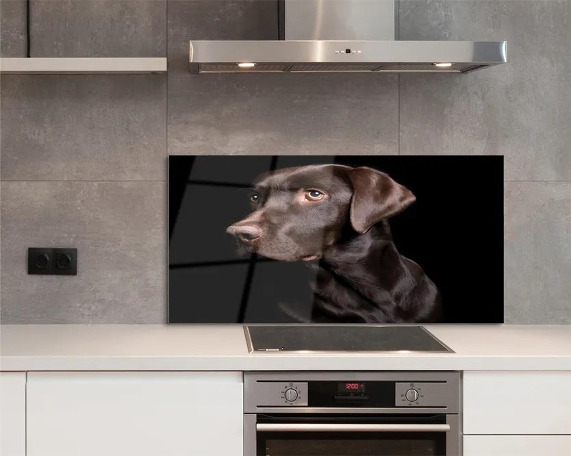 Panel szklany do Kuchni Wierny Brązowy Przyjaciel