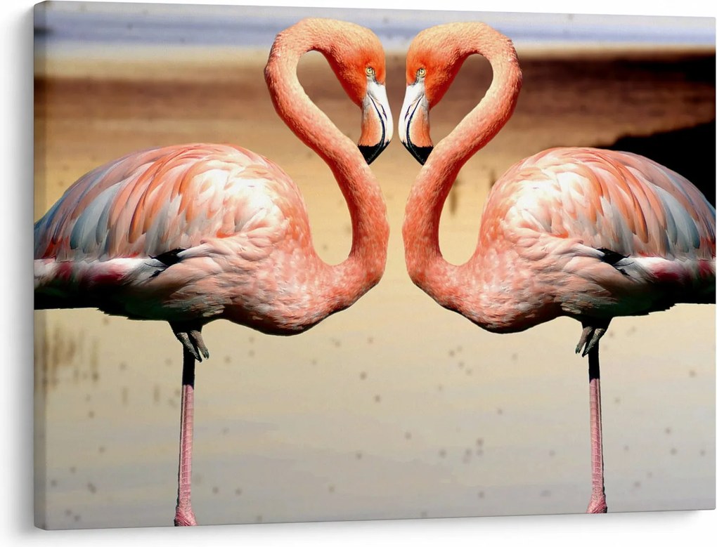 Obraz - dwa flamingi (70x50 cm)