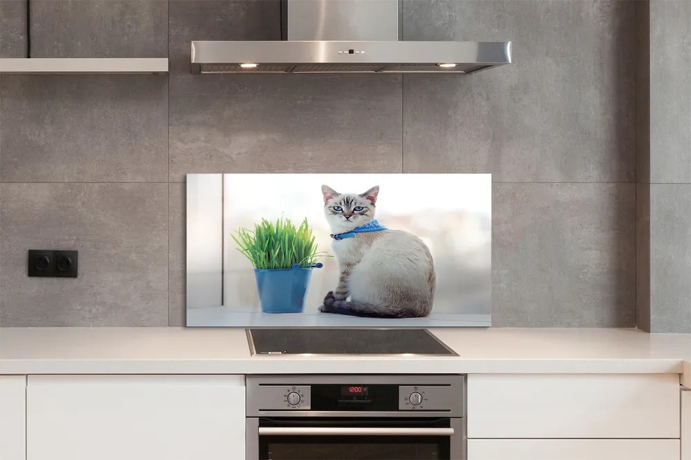 Panel szklany do Kuchni Dostojny Siedzący Kot