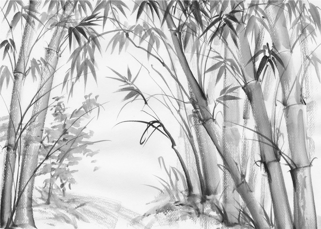 Obraz na szkle - Las bambusowy (70x50 cm)