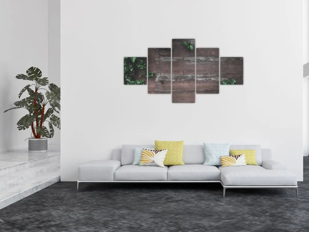 Obraz - Bluszcz (125x70 cm)