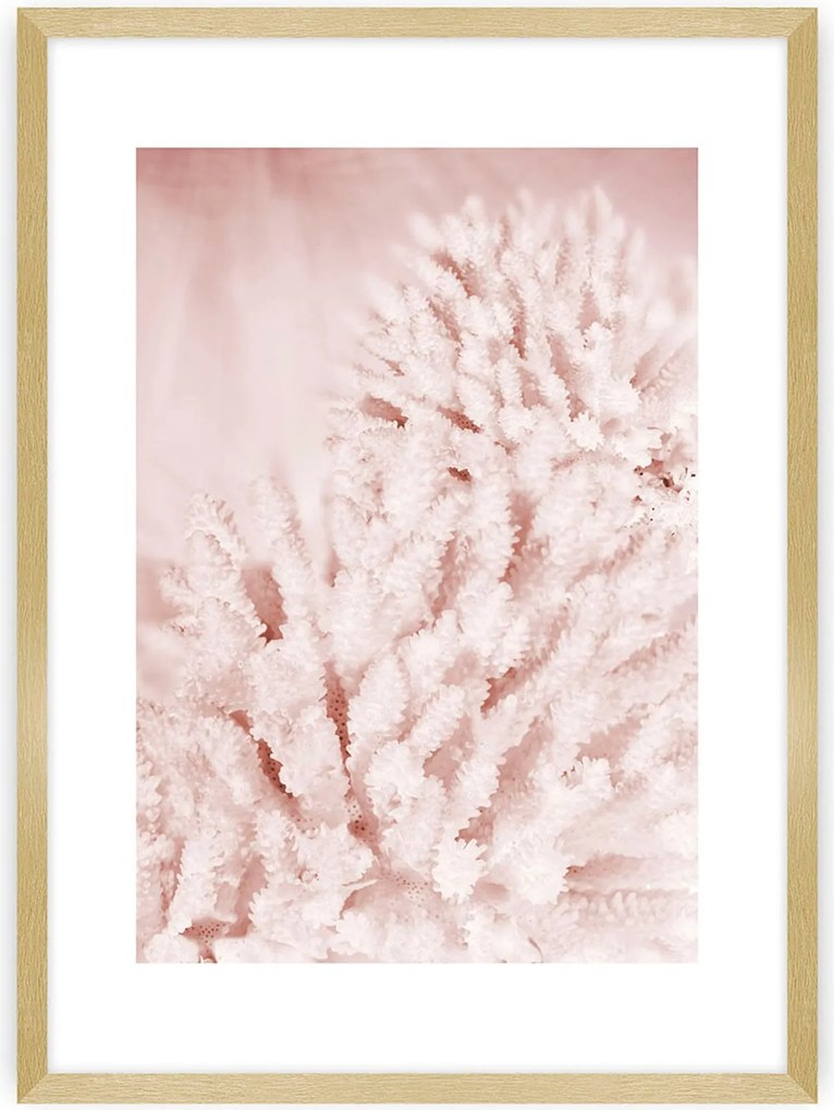 Plakat Pastel Pink II