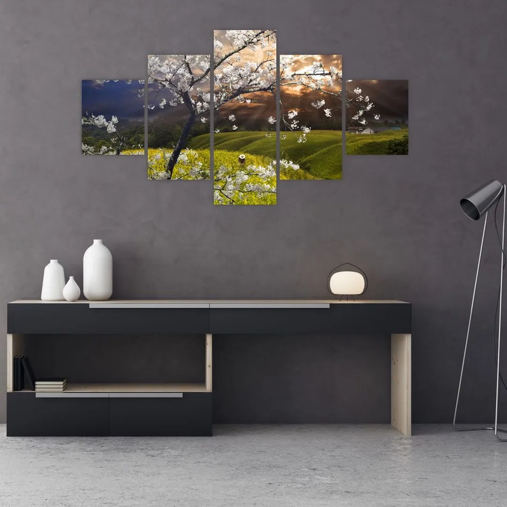 Obraz - Kwitnące drzewo w krajobrazie (125x70 cm)