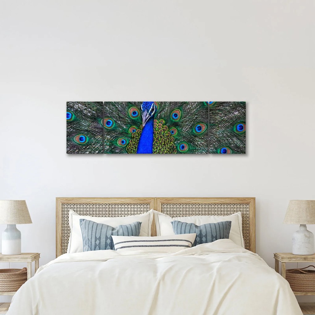 Obraz - Paw (170x50 cm)