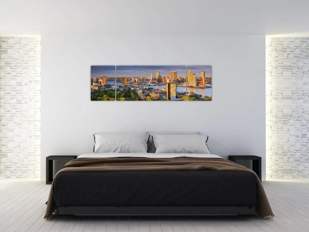 Obraz - Panorama Rotterdamu, Holandia (170x50 cm)