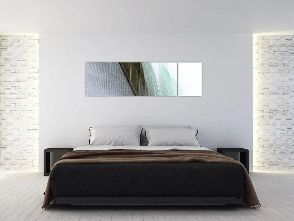Obraz - Pióra, makro (170x50 cm)
