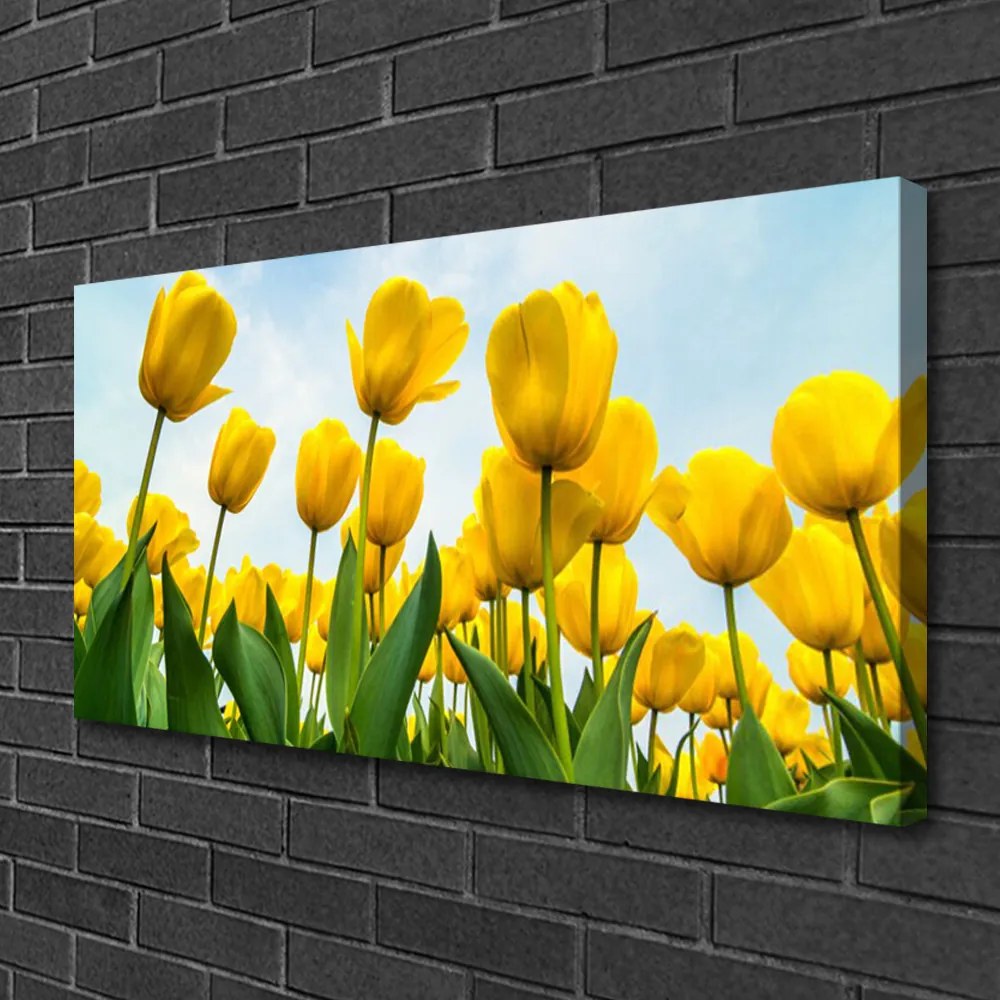 Obraz canvas Pole Tęczowych Tulipanów