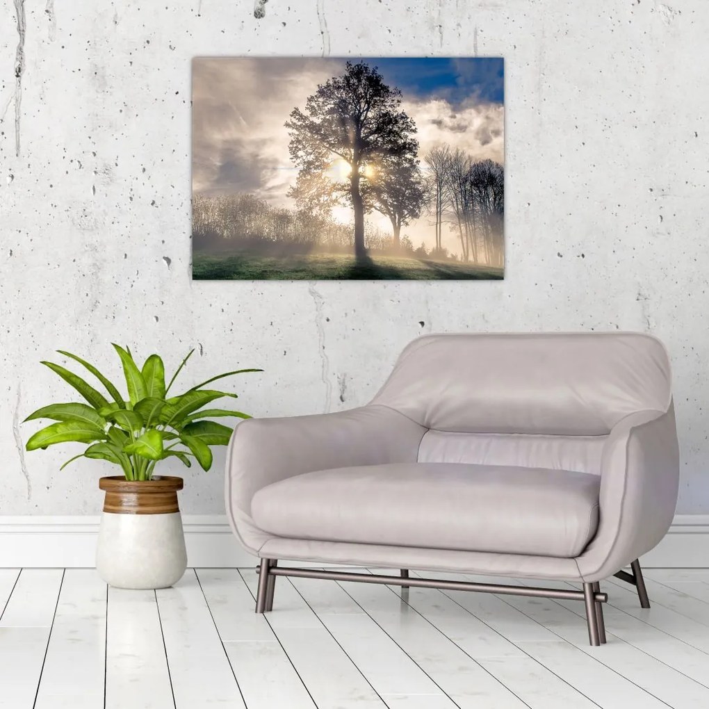 Obraz na szkle - drzewo we mgle (70x50 cm)