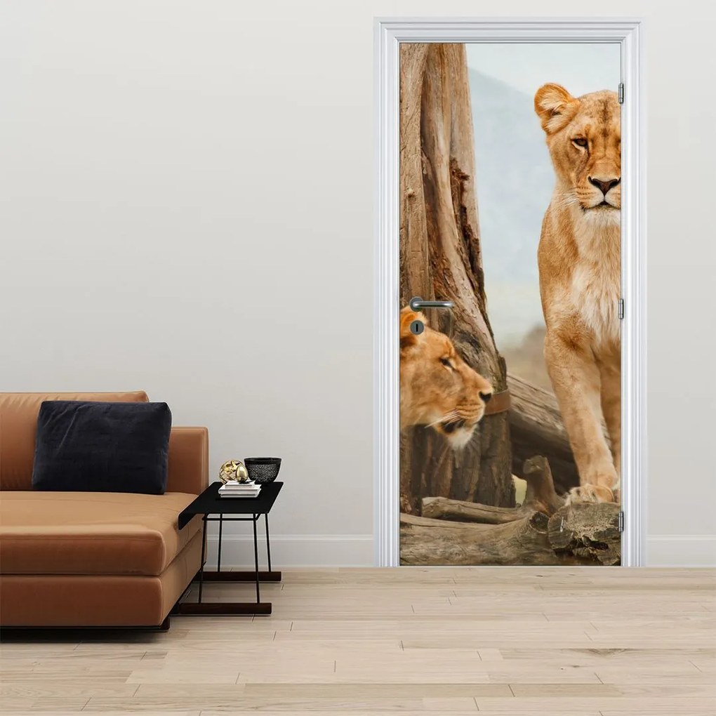 Fototapeta na drzwi - Dwie lwice (95x205cm)