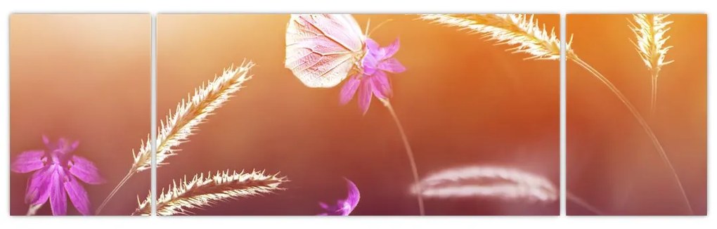 Obraz - Różowy motyl (170x50 cm)