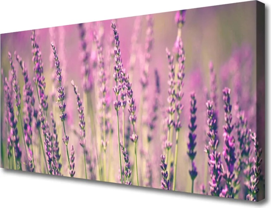 Fotoobraz na płótnie Rozkwitająca Natura w Kwiatach