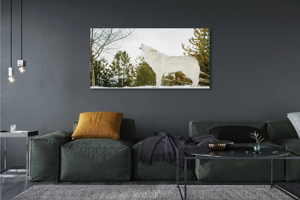Obraz drukowany na płótnie Wilk w Zimowym Lesie
