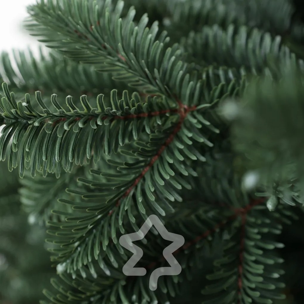 Świerk Oregon ekstra gęsty 180 cm