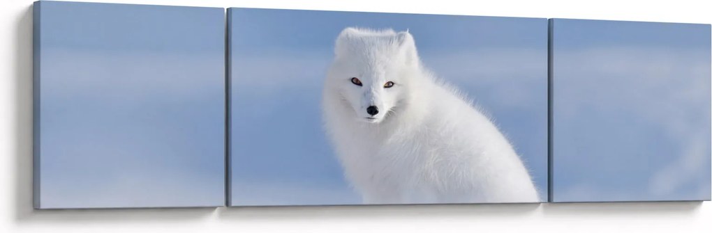 Obraz - Lis polarny (170x50 cm)