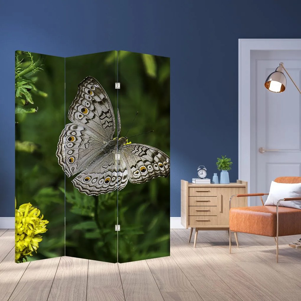 Parawan - Biały motyl (126x170 cm)