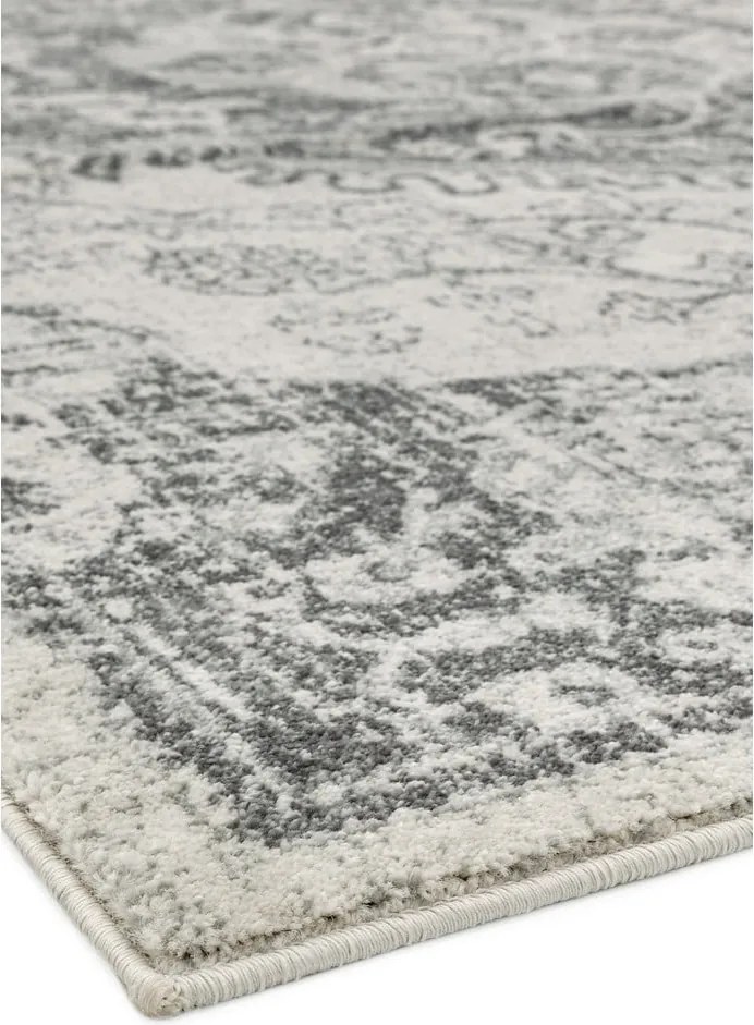 Szary/kremowy dywan 160x230 cm Nova – Asiatic Carpets
