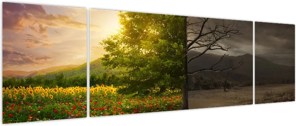 Obraz - Cykl życia (170x50 cm)