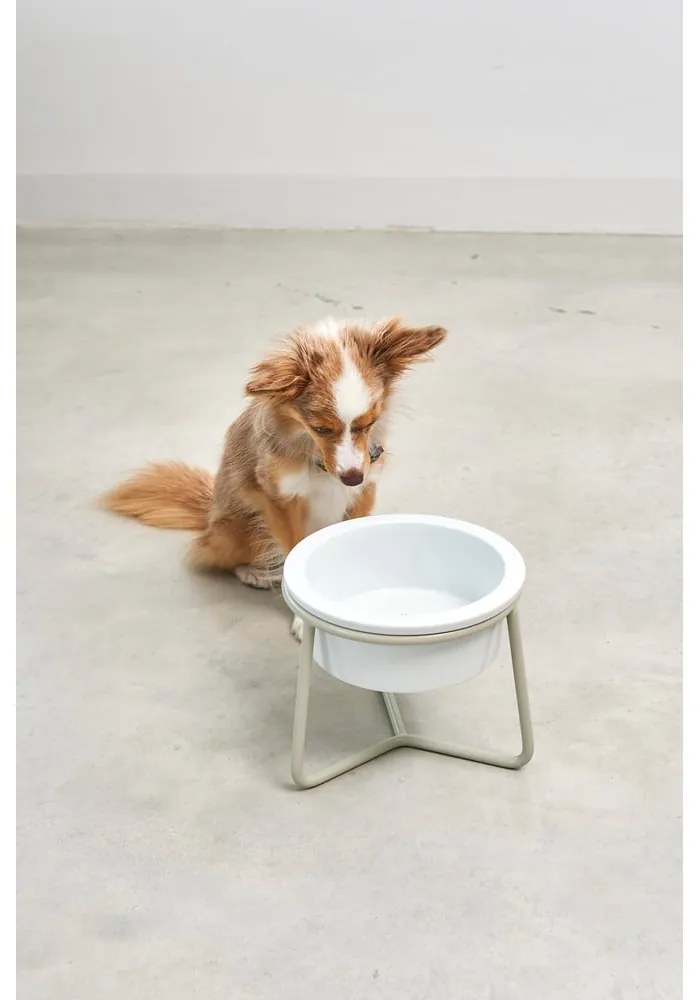 Porcelanowa miska ze stojakiem dla psów ø 20 cm Pranzo Greige M – MiaCara