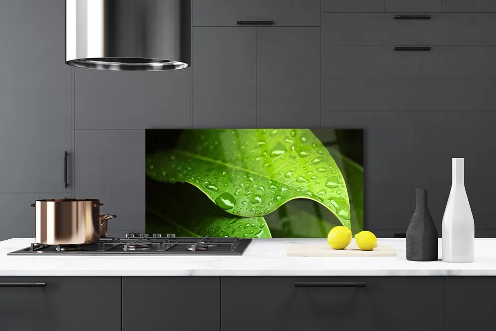 Panel Kuchenny Krople Porannej Rosy