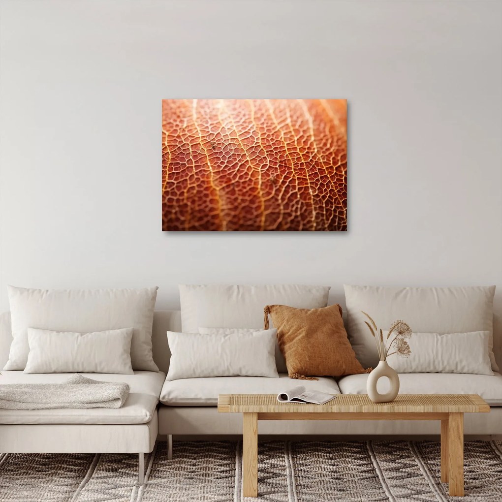 Obraz - Szczegóły tekstury (70x50 cm)