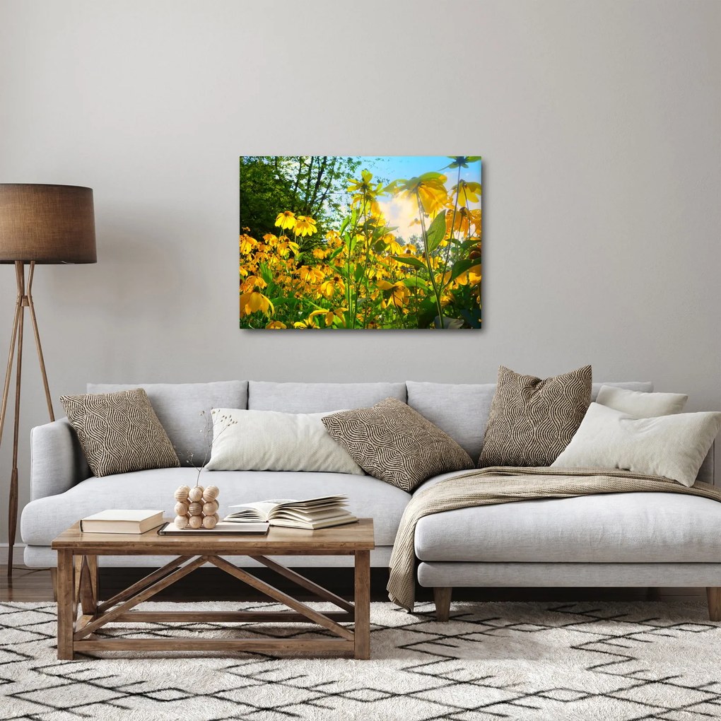 Obraz żółtych kwiatów (70x50 cm)