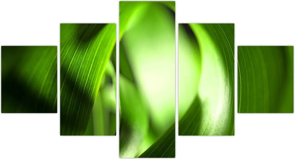 Obraz - Źdźbło trawy (125x70 cm)