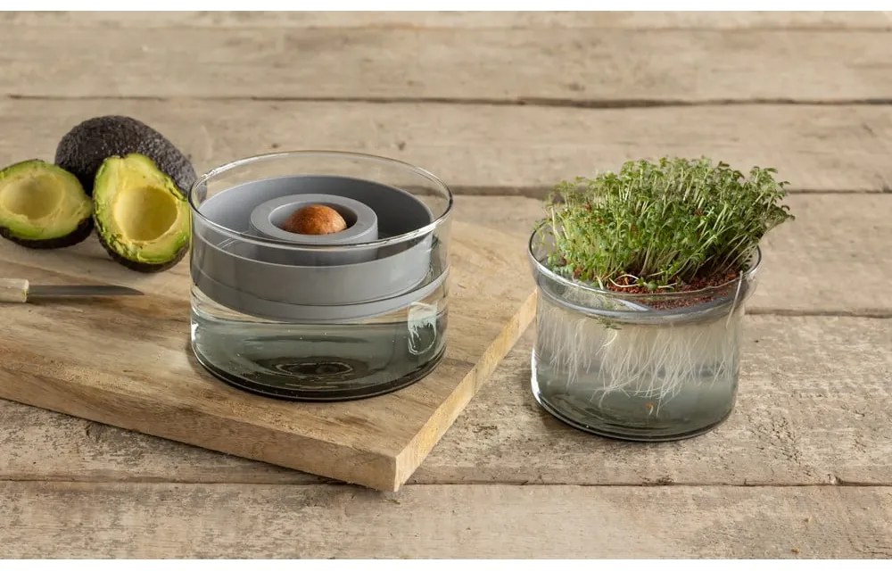 Szklana miska do kiełkowania ø 14 cm Avocado – Esschert Design