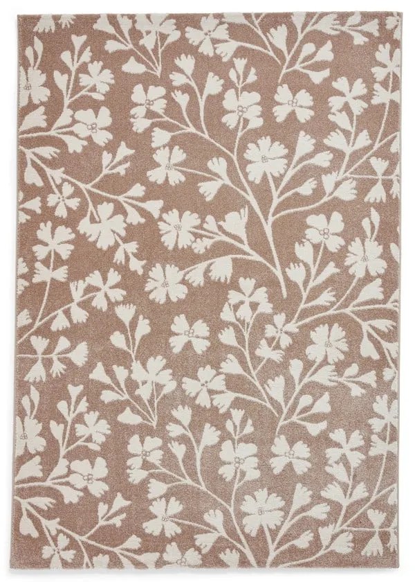 Jasnobrązowy dywan 80x150 cm Grace Floral – Catherine Lansfield