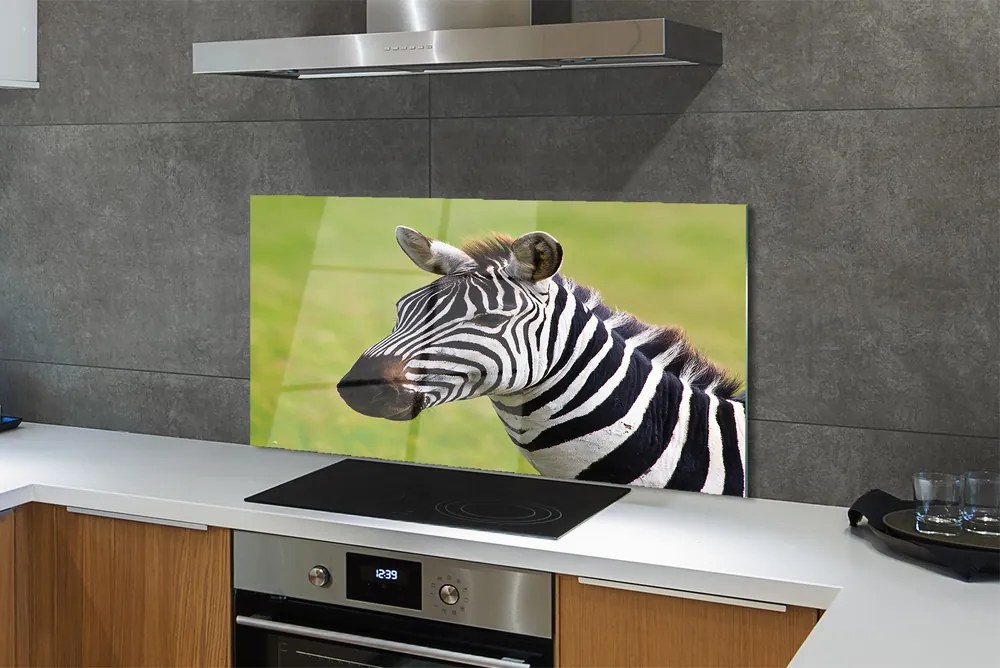 Szklany Panel Zebra w Naturalnym Środowisku