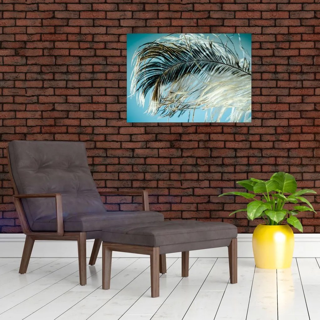 Obraz na szkle - pióro (70x50 cm)