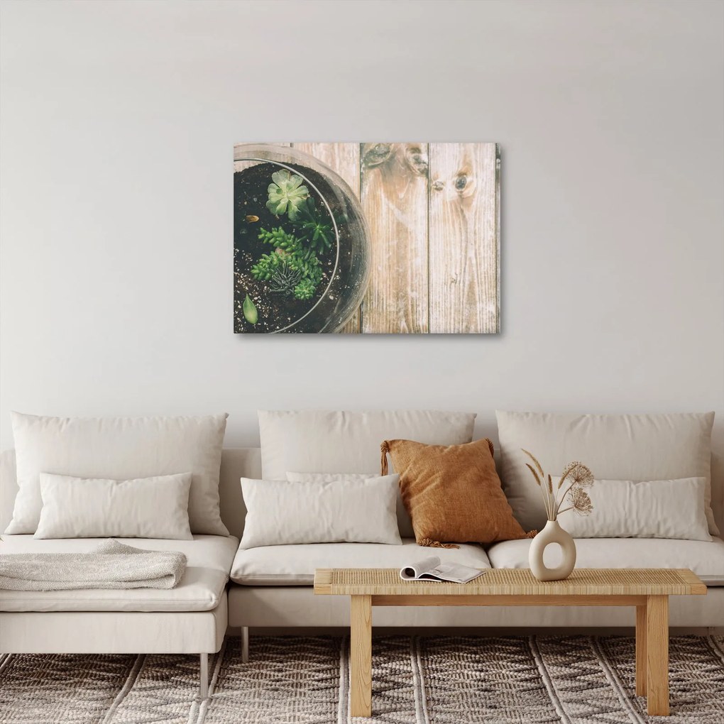 Obraz sukulentów w szkle (70x50 cm)