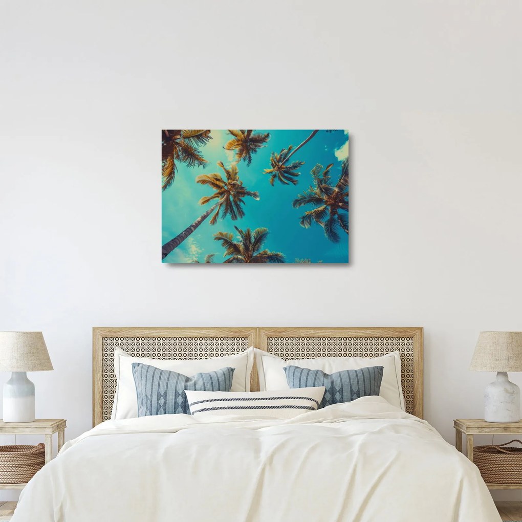 Obraz na szkle - Wysokie palmy (70x50 cm)