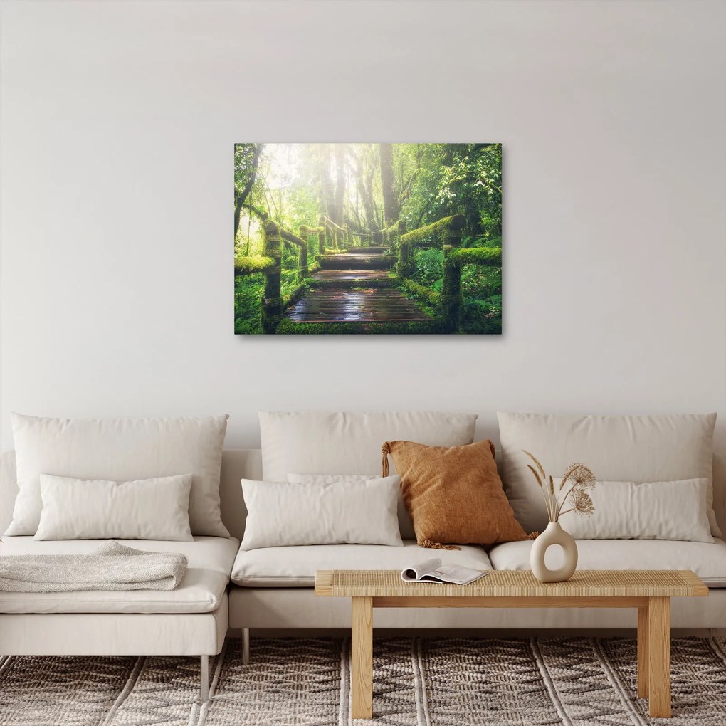 Obraz - drewniane schody w lesie (70x50 cm)