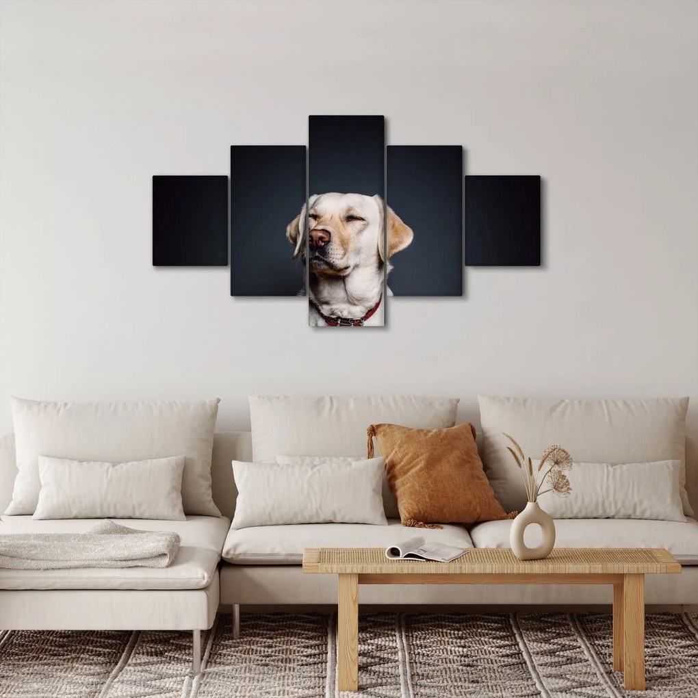Obraz labradora (125x70 cm)