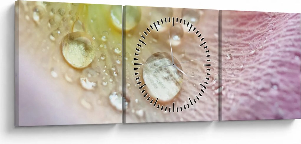 Obraz - Krople rosy (z zegarem) (90x30 cm)