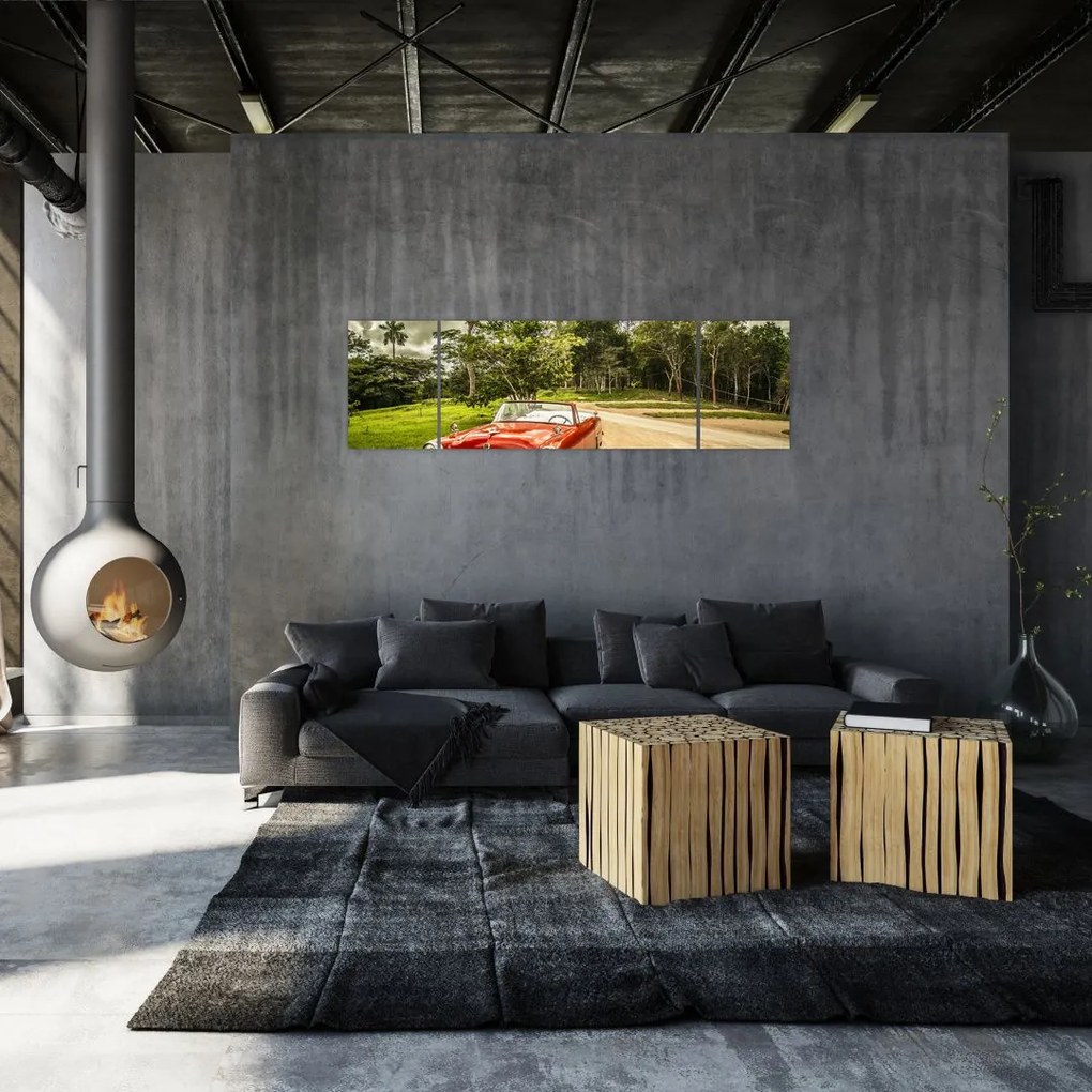 Obraz - zabytkowy samochód w przyrodzie (170x50 cm)