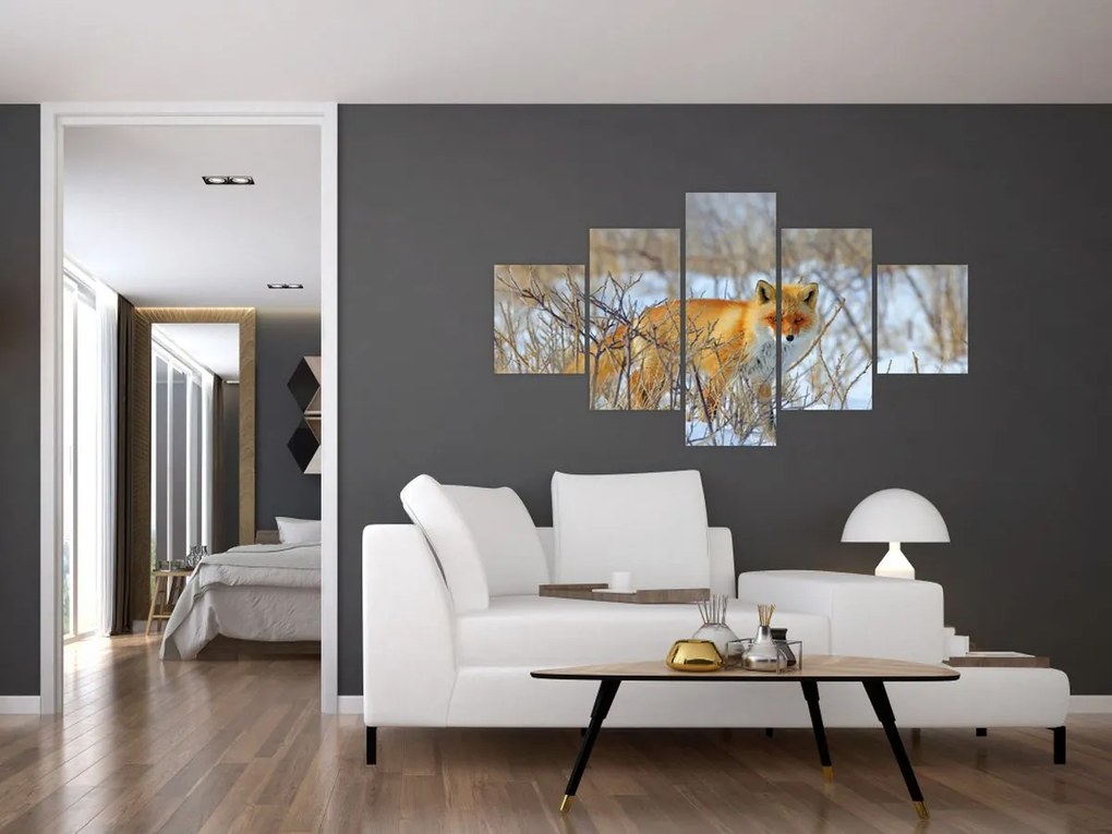 Obraz - Lis (125x70 cm)