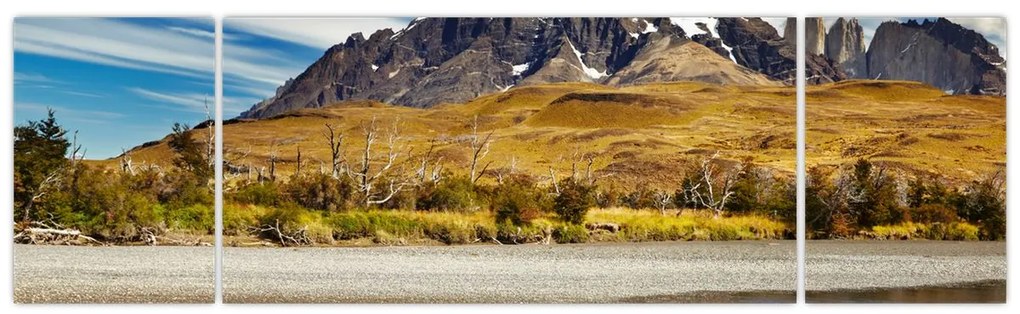 Obraz - Park Narodowy Torres del Paine (170x50 cm)