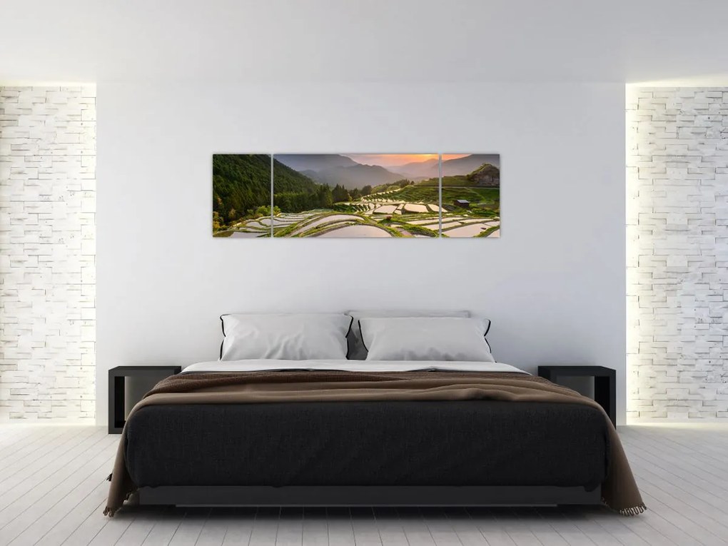 Obraz - Tarasy ryżowe (170x50 cm)
