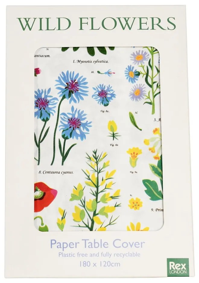 Obrus z papieru 120x180 cm Wild Flowers – Rex London