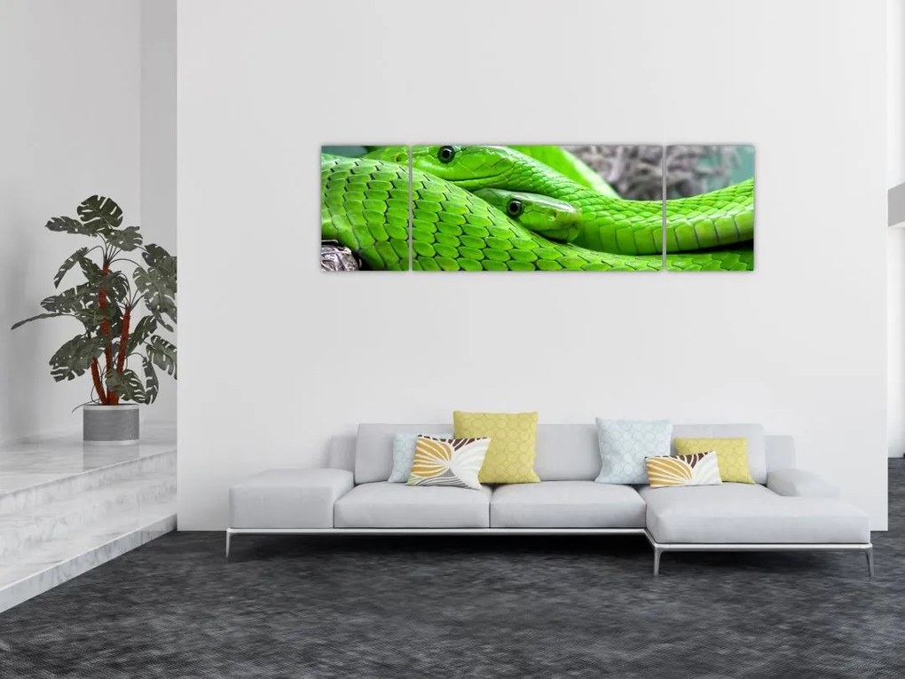 Obraz zielonych węży (170x50 cm)